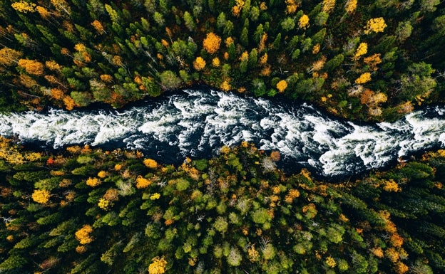 «La naturaleza es el proveedor más generoso que tenemos»