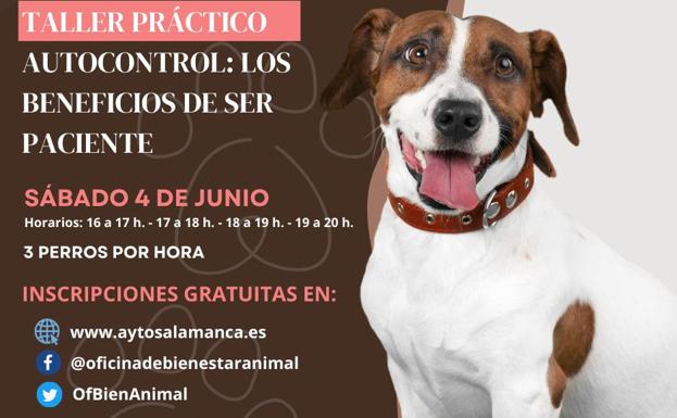 La Oficina de Bienestar Animal de Salamanca programa un taller de autocontrol para perros
