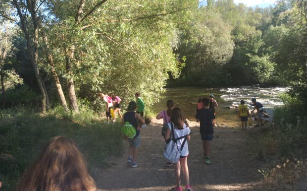 Los niños del proyecto Ciudad Amiga de la Infancia de Santa Marta recogen basura en la Isla del Soto