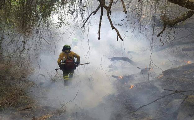 Estabilizado el incendio de Sierra Bermeja tras arrasar más de 2.000 hectáreas