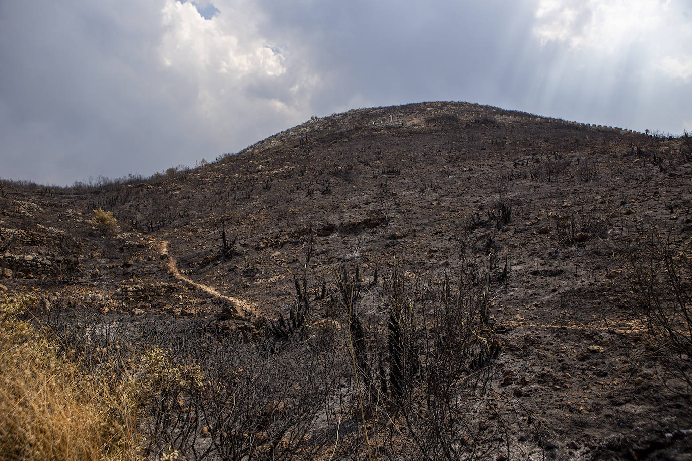 Imágenes de la lucha contra el fuego desde la primera línea