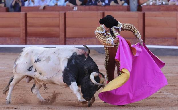 'Chillón', de la ganadería Galache, propuesto para el premio 'Toro de Oro'