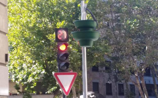 Los jardines verticales de Álvaro Gil: lo que cuesta dar un toque 'verde' a una calle