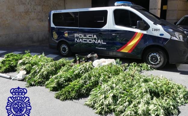 Detenido por cultivar marihuana en varios lugares «recónditos» de la sierra de Salamanca