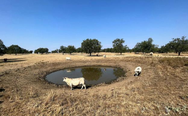 UPL acusa al Gobierno de la sequía en Salamanca por permitir el desembalse a Portugal