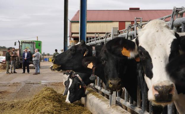 García-Gallardo reconoce la «gran fragilidad» del vacuno de leche en la actualidad