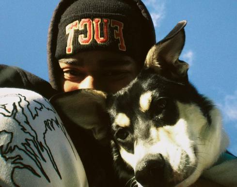 Denuncia el envenenamiento de su perro en Salamanca