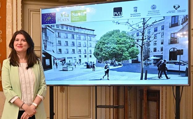Un gran árbol a un paso de la Plaza Mayor, el toque 'verde' para la Salamanca monumental