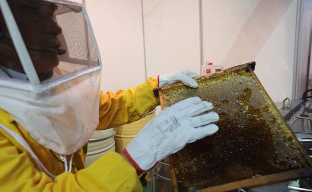 La Feria de la Miel endulza el fin de semana en Aldeatejada