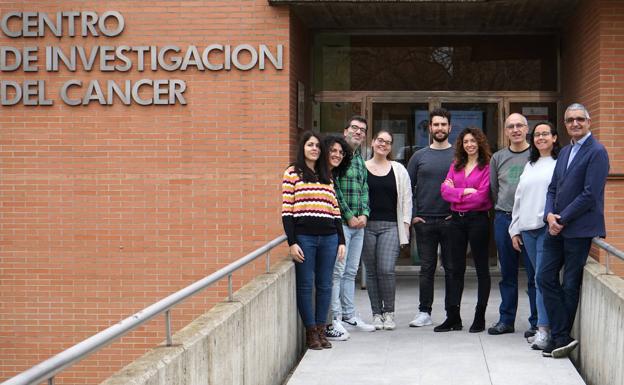Revelan una mutación genética clave en la aparición de linfomas y el cáncer de pulmón