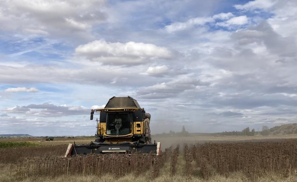 La Junta ha anticipado cerca de 600 millones de euros de la PAC a más de 58.000 agricultores y ganaderos de Castilla y León