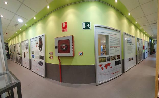 La exposición 'El lenguaje y la dieta' reflexiona sobre la importancia de la alimentación en Villamayor