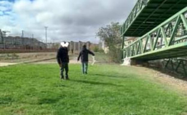 Denuncian el esparcimiento de azufre en una zona frecuentada por perros en Salamanca