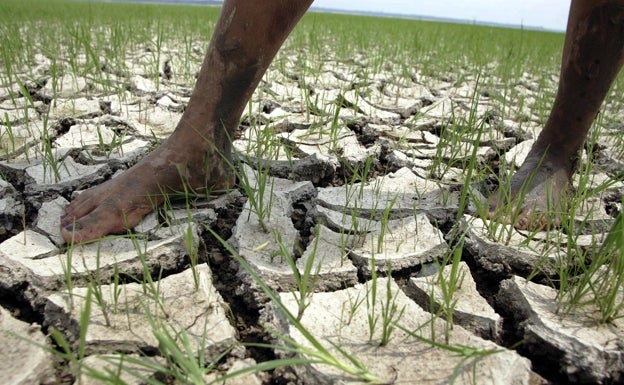 La adaptación al cambio climático necesitará 340.000 millones de euros al año hasta 2030