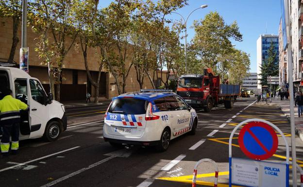 Tala de árboles en el paseo de San Vicente para abrir paso a un nuevo carril bici