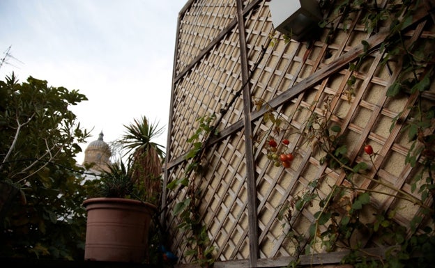 Balcones llenos de plantas para mejorar la calidad ambiental en Salamanca