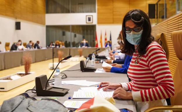 IU denuncia la falta de seguimiento de los contratos de la Sociedad de Turismo