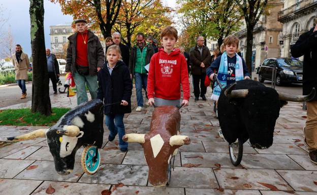 Francia vota este jueves si prohíbe o no los toros