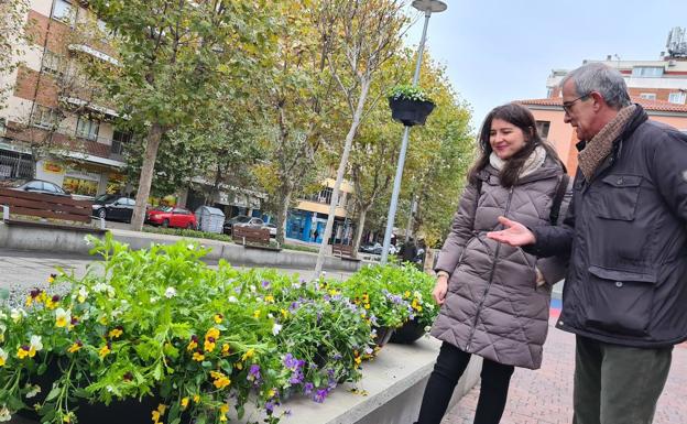 El Ayuntamiento de Salamanca amplía a los barrios la decoración floral de 150 farolas
