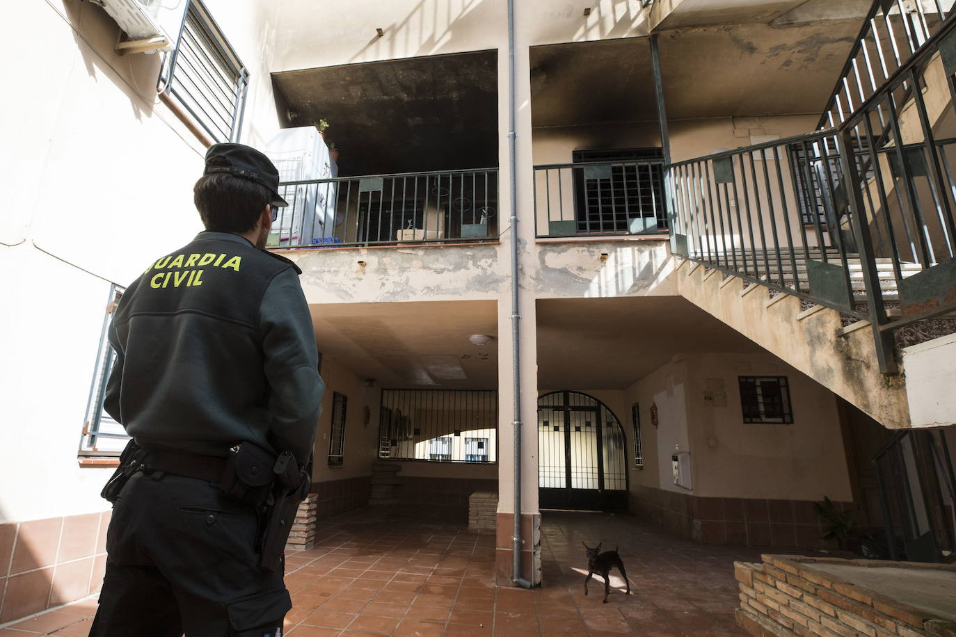 420 mujeres han sido maltratadas este año en la provincia de Salamanca