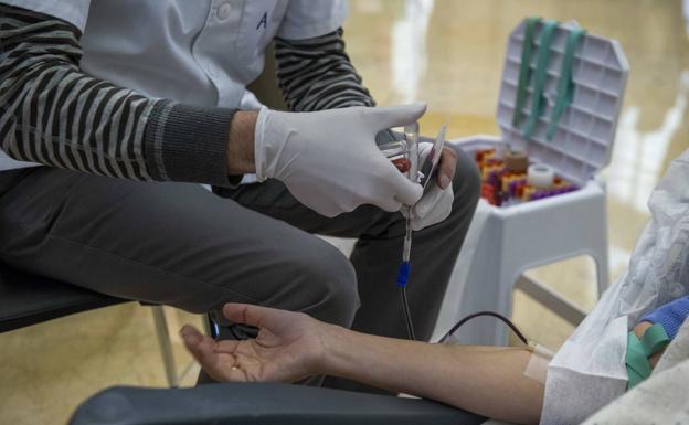 Qué se necesita para ser donante de médula: requisitos y contraindicaciones