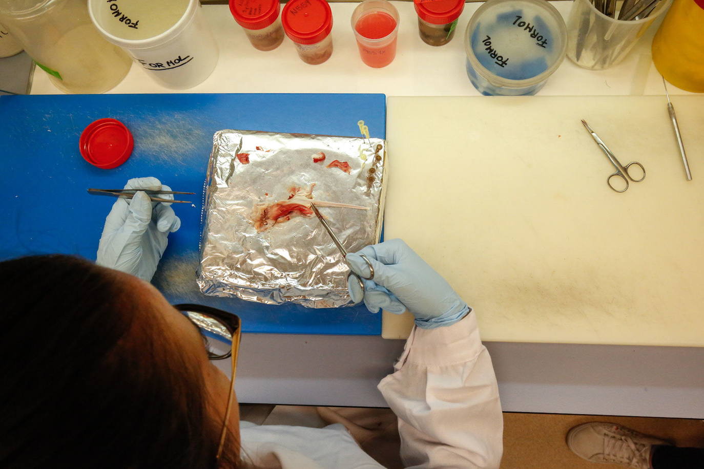 Cerca de 500 mil euros para cuatro proyectos de la Universidad de Salamanca