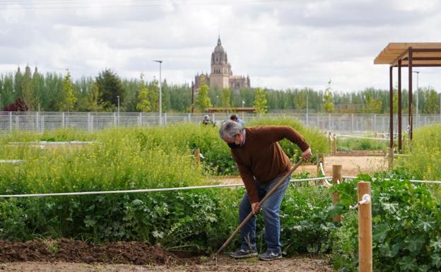 Reconocimiento nacional al trabajo del Ayuntamiento para modernizar Salamanca como 'smart city'