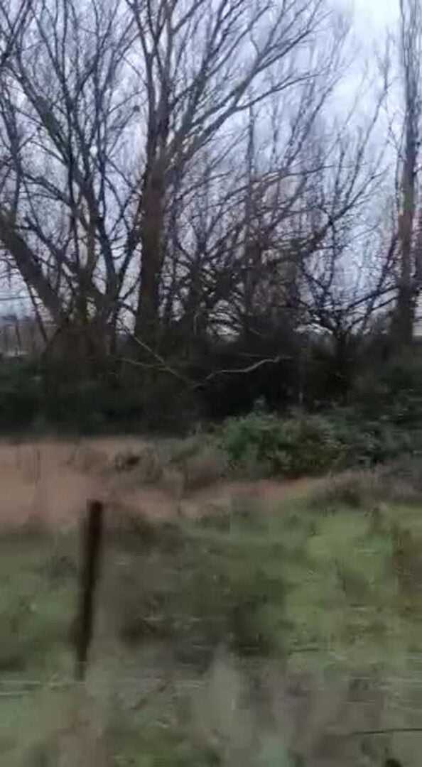 Las inmediaciones de la Finca de El Teso de Aldeatejada, anegadas por el agua