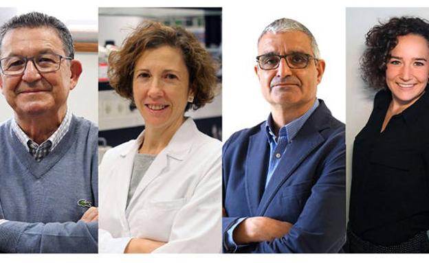 Concedido a Salamanca un nuevo proyecto para dirigir células CAR-T a tumores sólidos