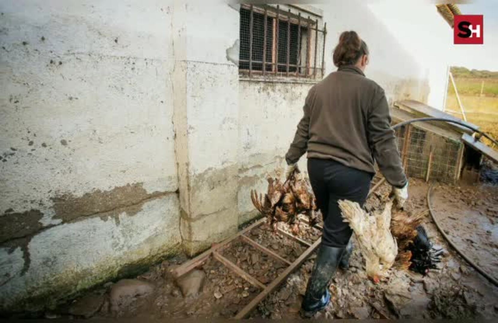 Salamanca vive un duro día de recuento de daños por las inundaciones
