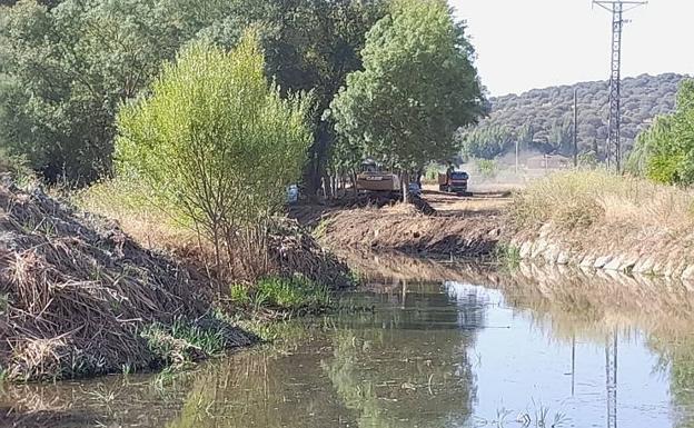 CHD ha invertido 1,6 millones en el mantenimiento de cauces de Salamanca en 2022