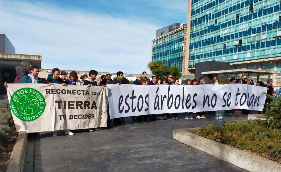 Críticas políticas, desconfiaza y cierta alegría por el cambio del carril bici de San Vicente