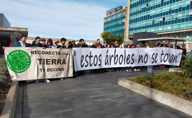 Críticas políticas, desconfiaza y cierta alegría por el cambio del carril bici de San Vicente
