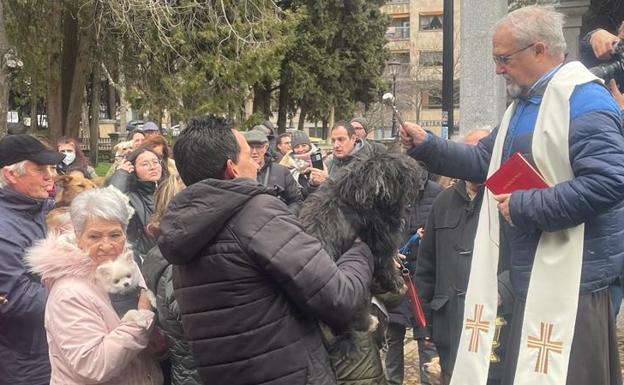 La bendición de los animales por San Antón regresa a Salamanca