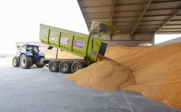 La lonja de León apuesta por la estabilidad en el mercado cerealista