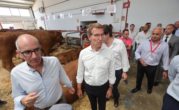 El PSOE acusa a Feijóo de tener «la cara muy dura» por no declarar en los juzgados de Salamanca