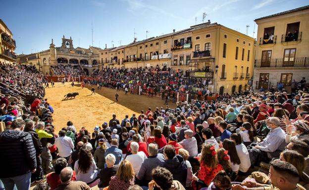 La singular plaza de toros con tablas de Ciudad Rodrigo empieza el camino para ser BIC