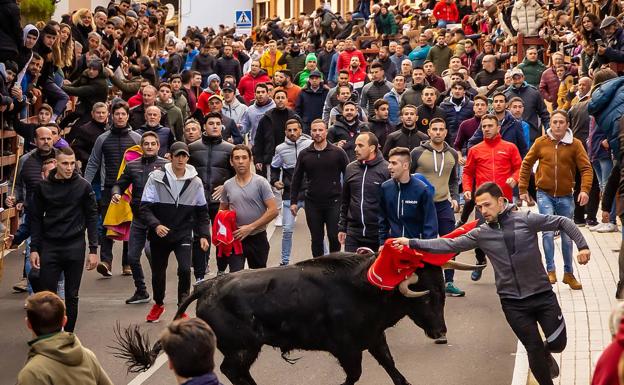 El multitudinario Toro de San Sebastián vuelve a Ciudad Rodrigo tras la pandemia