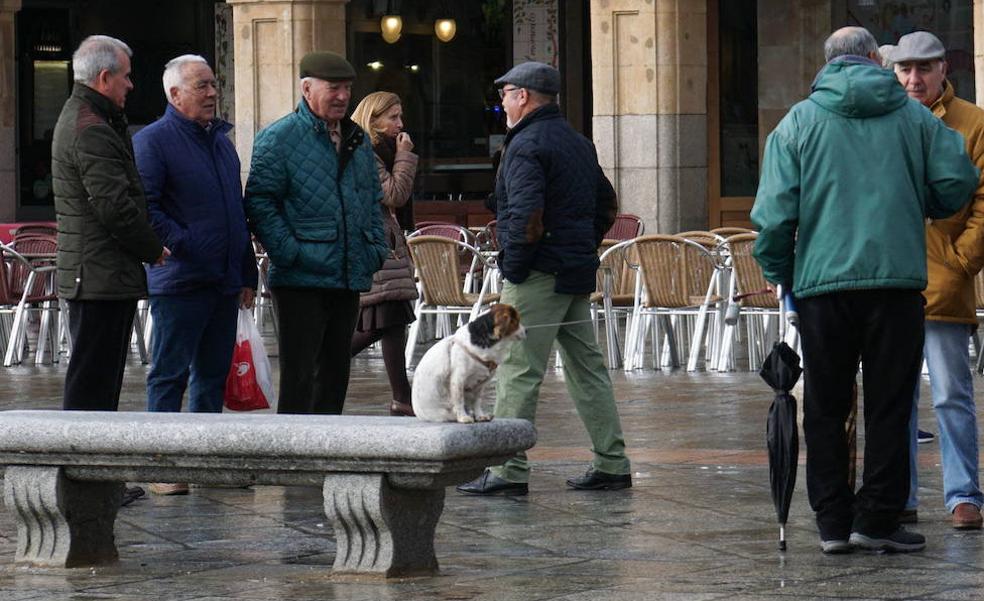 La pensión media de jubilación sube en Salamanca a los 1.256,42 euros en enero
