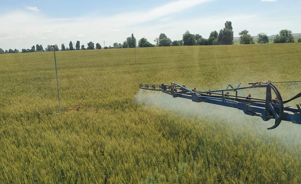 Autorizados 300 millones en ayudas por el incremento del precio de los fertilizantes