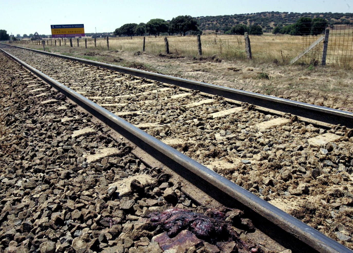 La historia del accidente ferroviario más trágico de Salamanca