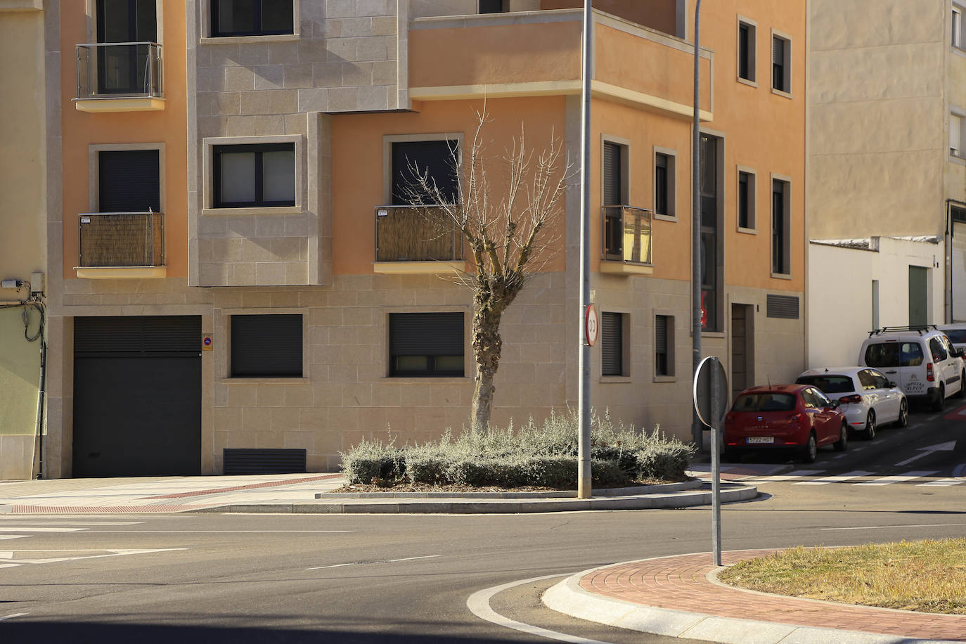 El sistema de podas del Ayuntamiento de Salamanca cada vez despierta más recelos