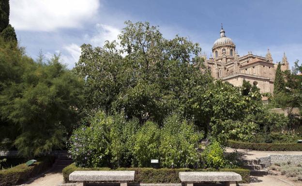 Salamanca, entre los destinos españoles más románticos para pasar San Valentín