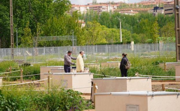 Abierto el plazo para que los adjudicatarios de huertos urbanos soliciten una prórroga anual