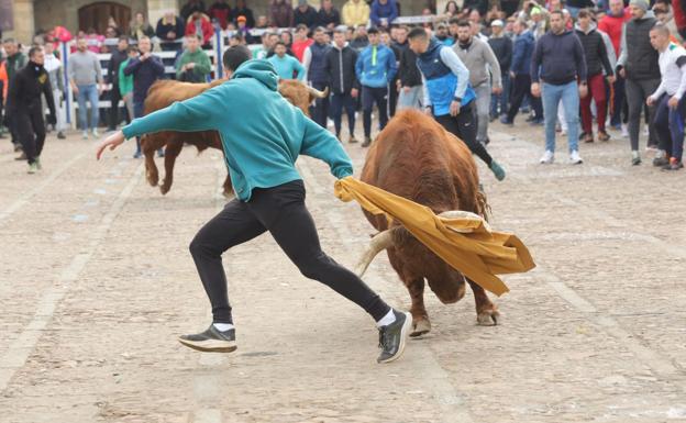 Los toros de El Pilar protagonizan un encierro rápido y limpio