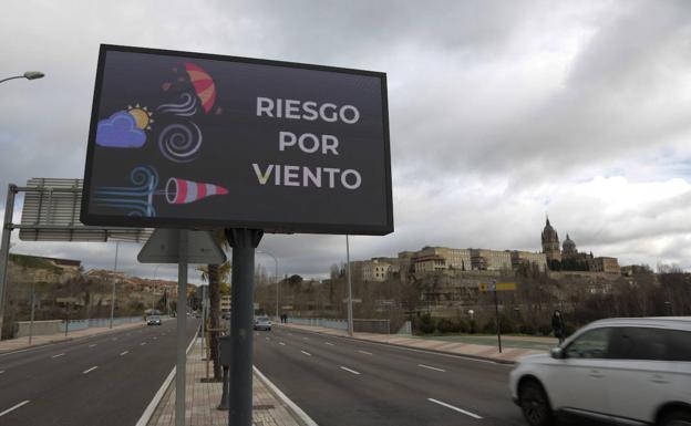 Un fuerte temporal de viento pone en alerta Salamanca y obliga a cerrar parques